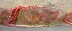 http://www.judit.nl/files/gimgs/th-54_pellicular_v2.jpg