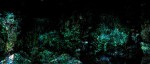 http://www.judit.nl/files/gimgs/th-54_rhizome_v2.jpg